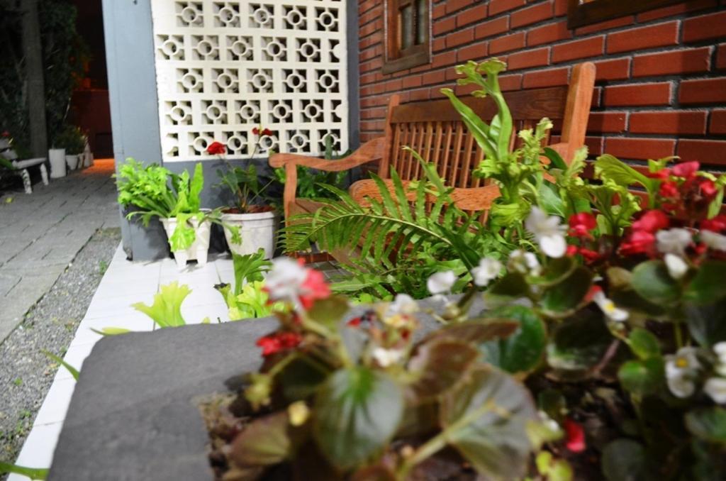 Residencial Flamingo Hotel Bombinhas Eksteriør billede
